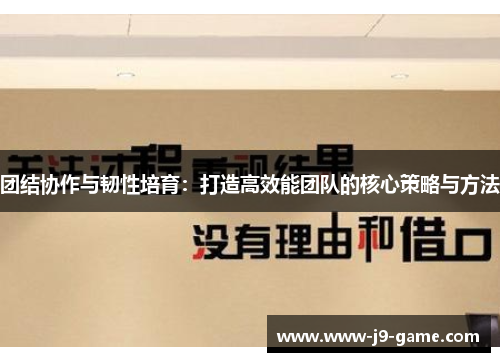 团结协作与韧性培育：打造高效能团队的核心策略与方法