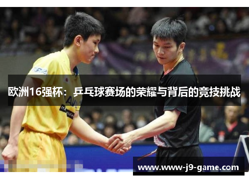 欧洲16强杯:乒乓球赛场的荣耀与背后的竞技挑战 欧洲16强杯:乒乓球赛场的荣耀与背后的竞技挑战