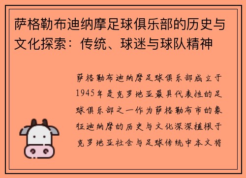 萨格勒布迪纳摩足球俱乐部的历史与文化探索：传统、球迷与球队精神